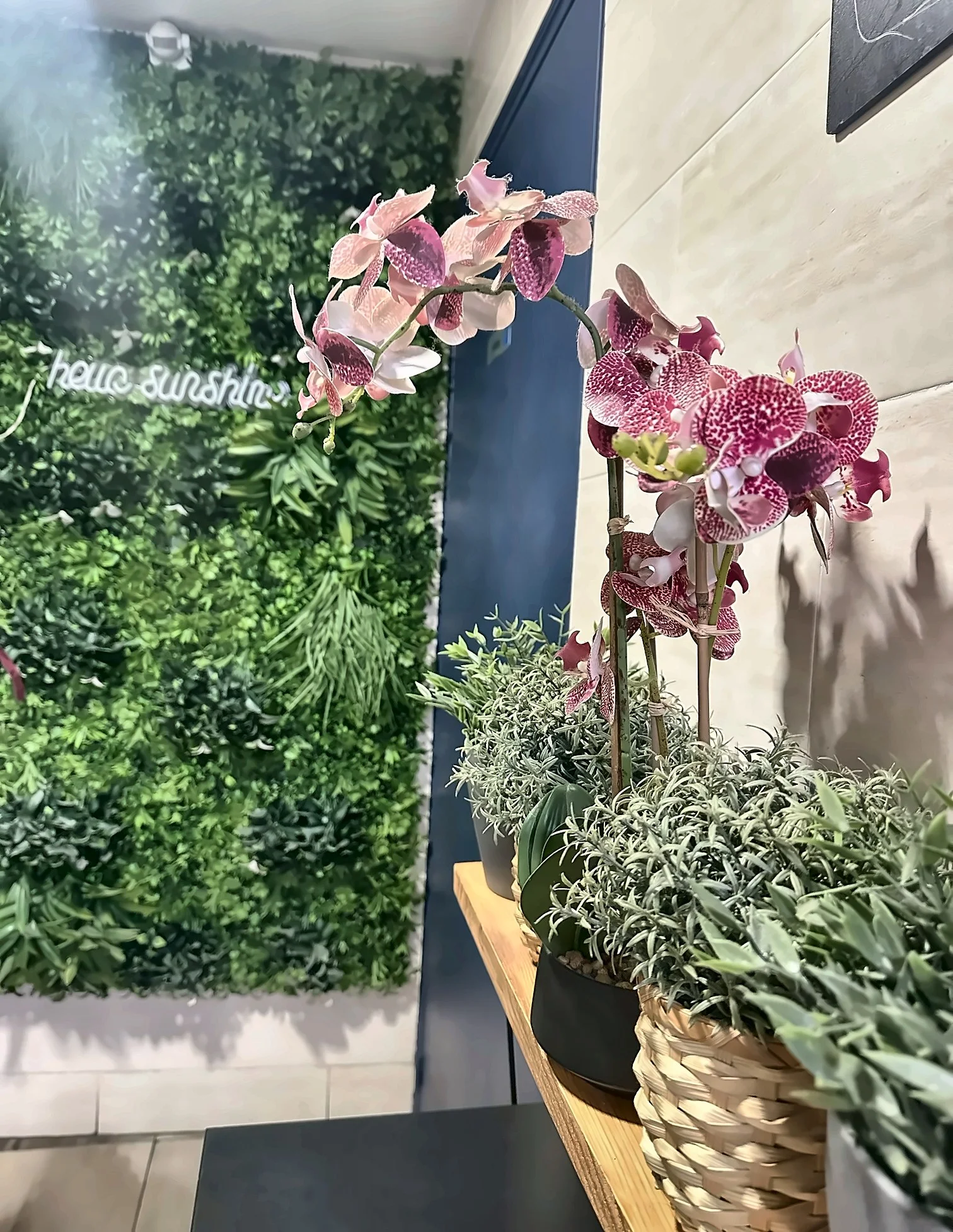 Orchidées et plantes devant le mur végétal du restaurant